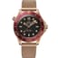 Omega Seamaster Diver 300M Master Co-Axial 42 Bronze Gold / Black / Bracelet