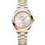 Omega Seamaster Aqua Terra 150M Master Co-Axial 30 Stainless Steel - Moonshine Gold / Silver / Bracelet