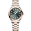 Omega Seamaster Aqua Terra 150M Master Co-Axial 30 Stainless Steel - Sedna Gold / Pine