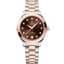 Omega Seamaster Aqua Terra 150M Master Co-Axial 30 Stainless Steel - Moonshine Gold / Brown - Diamond / Bracelet
