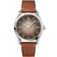 Omega Railmaster Omega Co-Axial Master Chronometer Small Seconds 38 Stainless Steel / Beige Gradient
