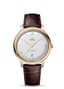 Omega De Ville Master Chronometer Stainless Steel - Yellow Gold / Silver