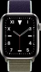 Apple Watch Series 5 - GPS + Cellular Titanium Case 44mm — case dimensions and design