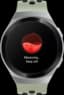 Watch GT 2e